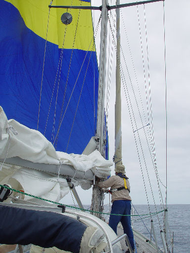 Hoisting the spinnaker